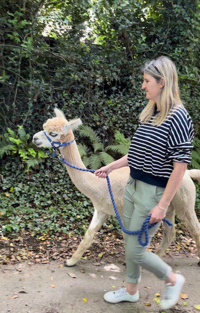 Duke of Edinburgh's Award 3 Lakemoor Alpaca farm