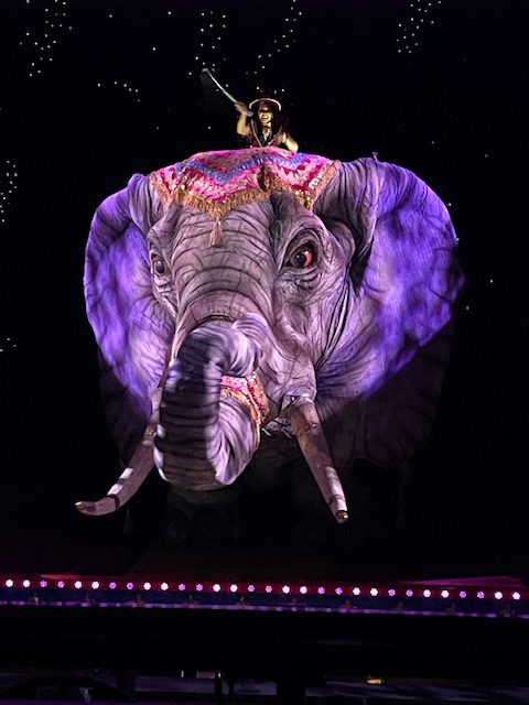 Elephant