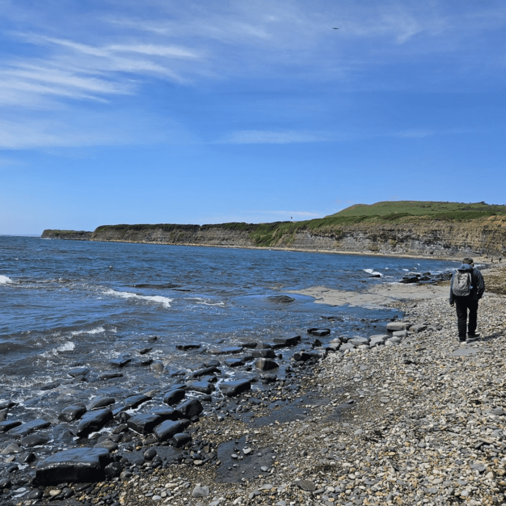 Geology Field Trip 4 19