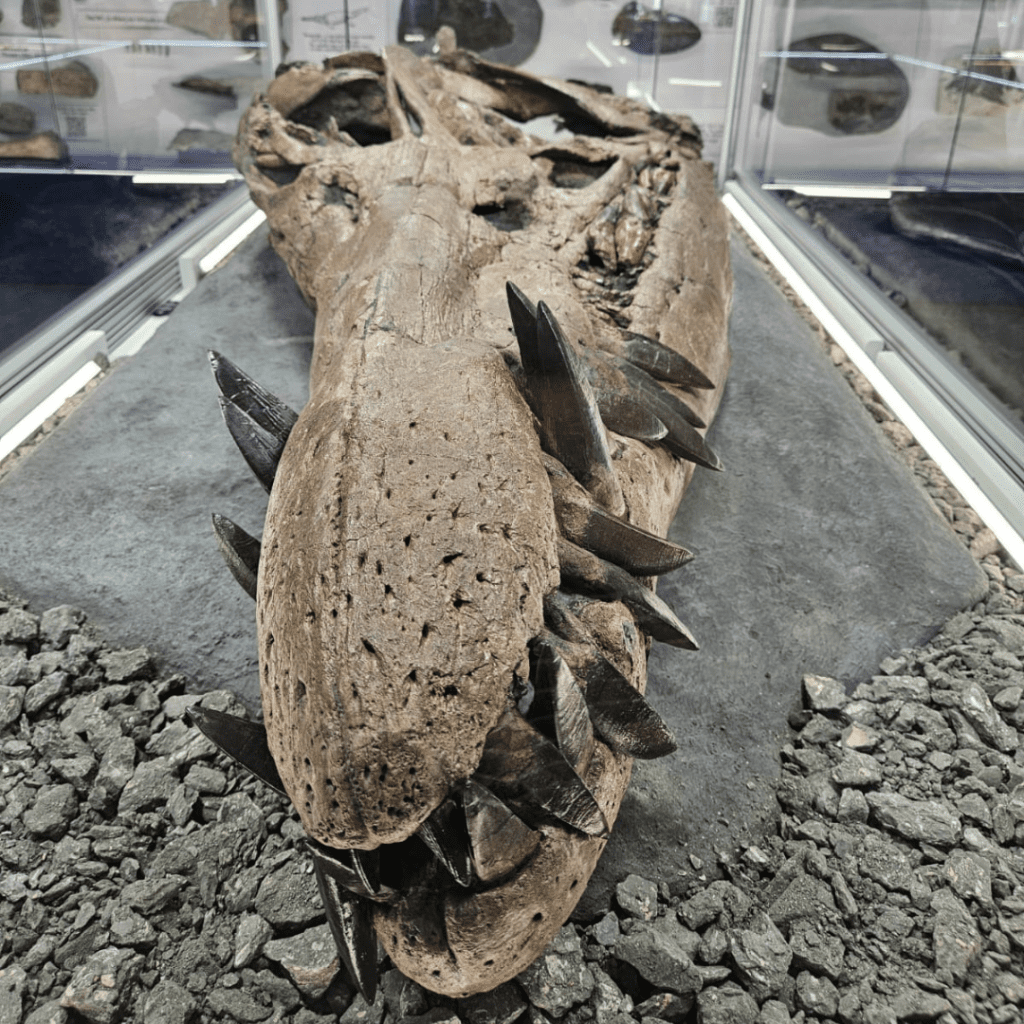 Geology Field Trip 2 23