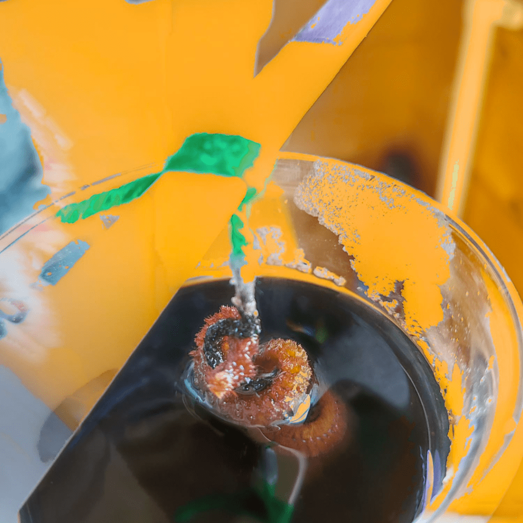 Change & Adapt: British Science Week 2025 14 17