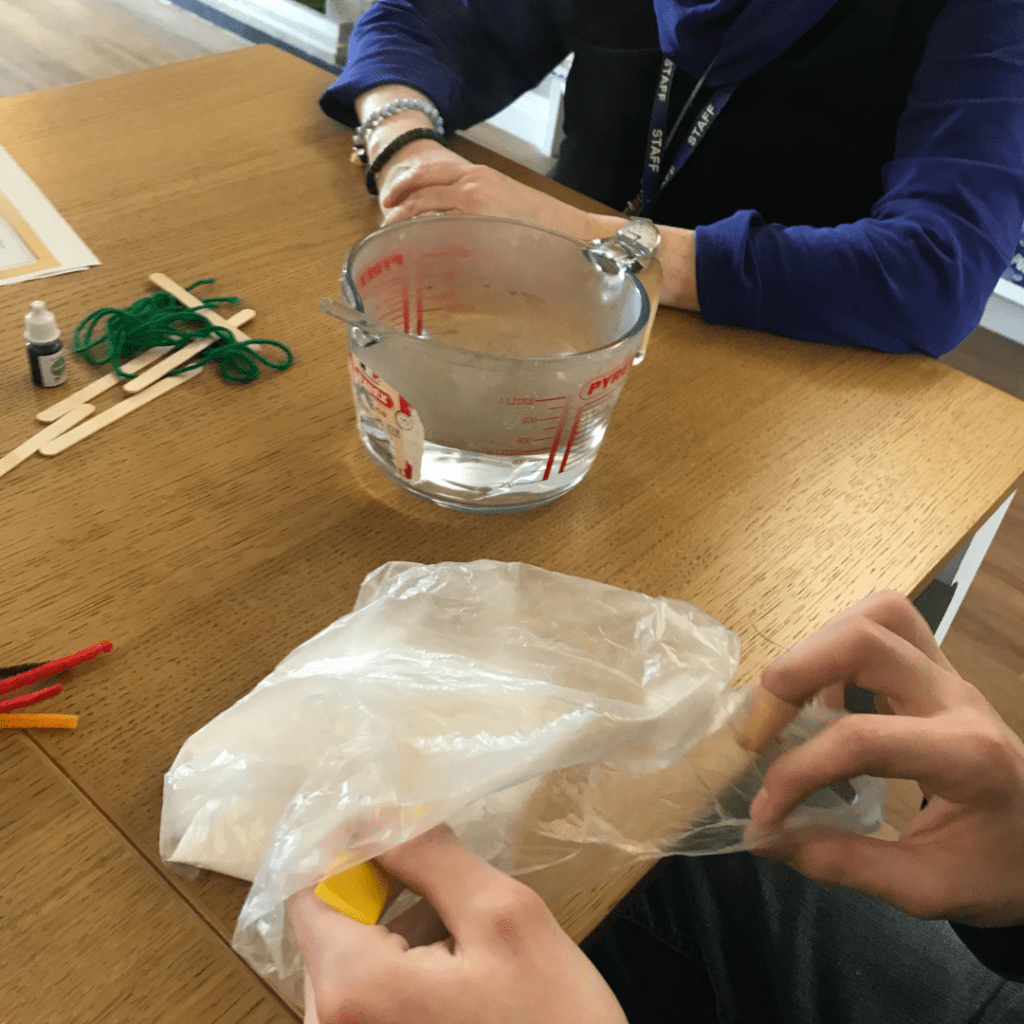 Change & Adapt: British Science Week 2025 6 9