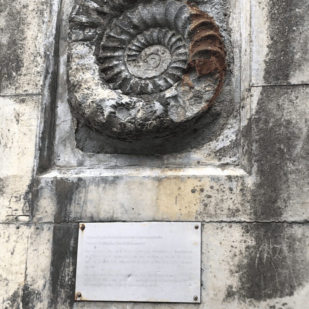 Geography Fieldwork 5 39