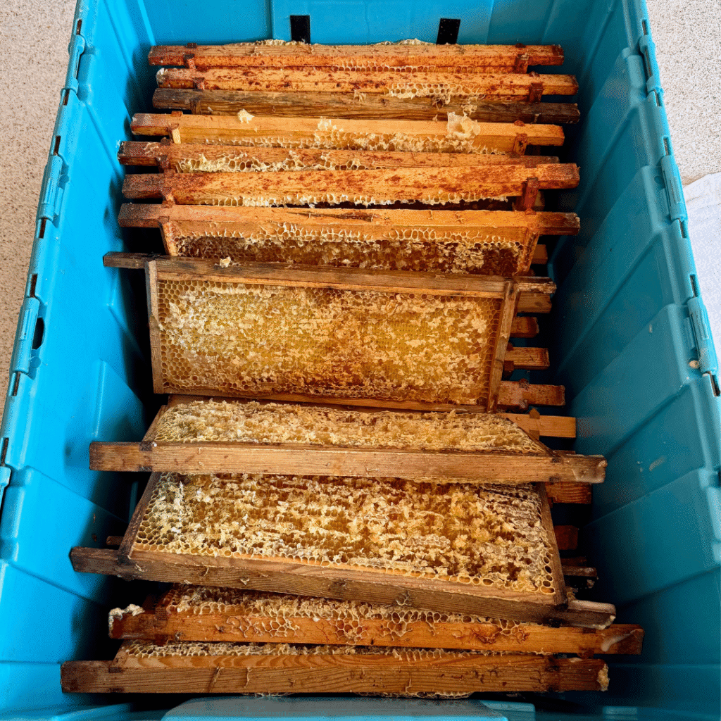 Beekeeping at Brocks 7 14 1