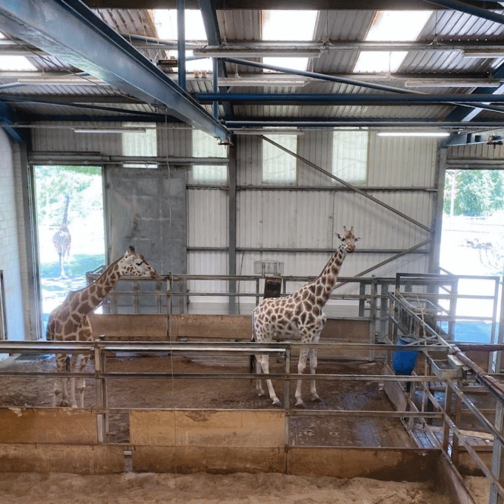 Paignton Zoo 3 16