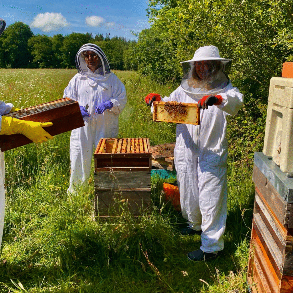 Beekeeping at Brocks 2 23