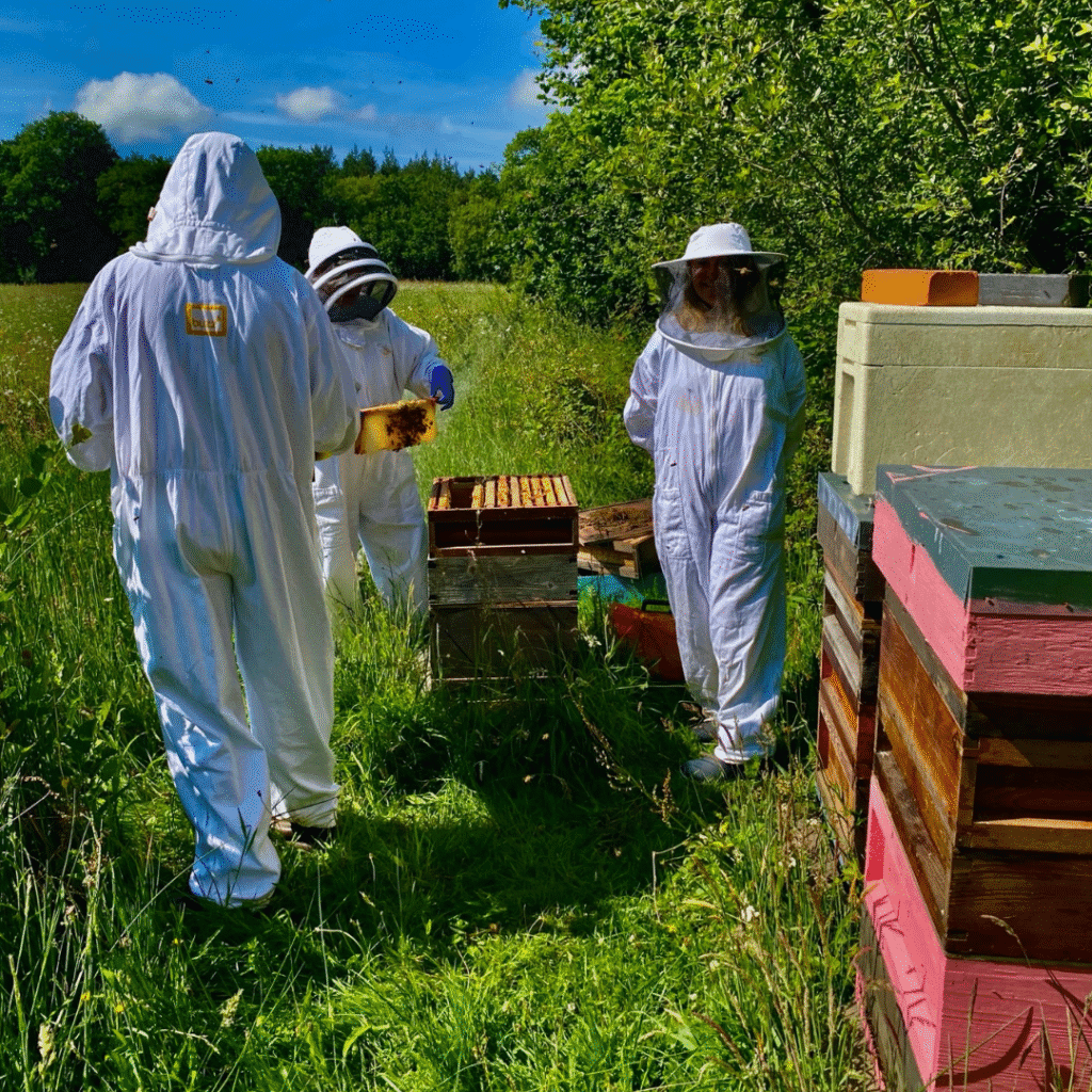 Beekeeping at Brocks 4 26