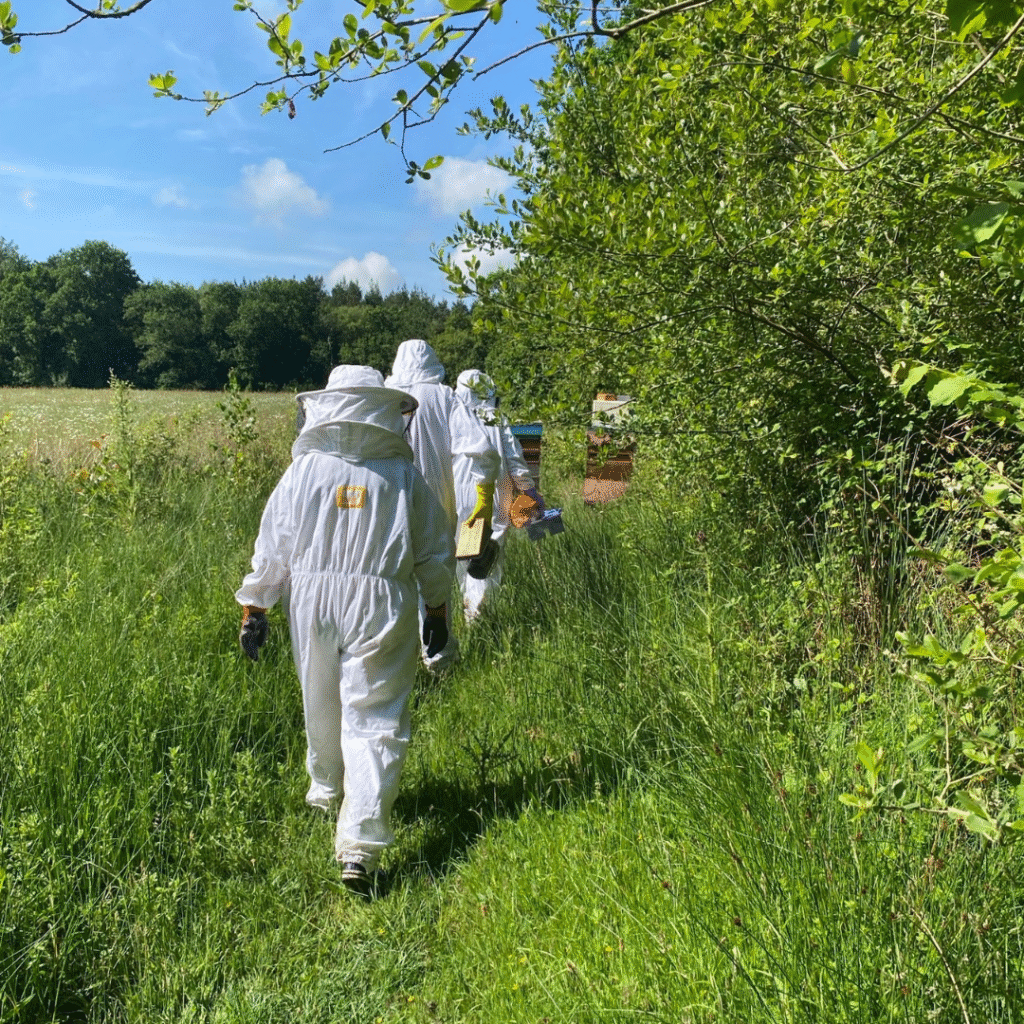 Beekeeping at Brocks 6 27