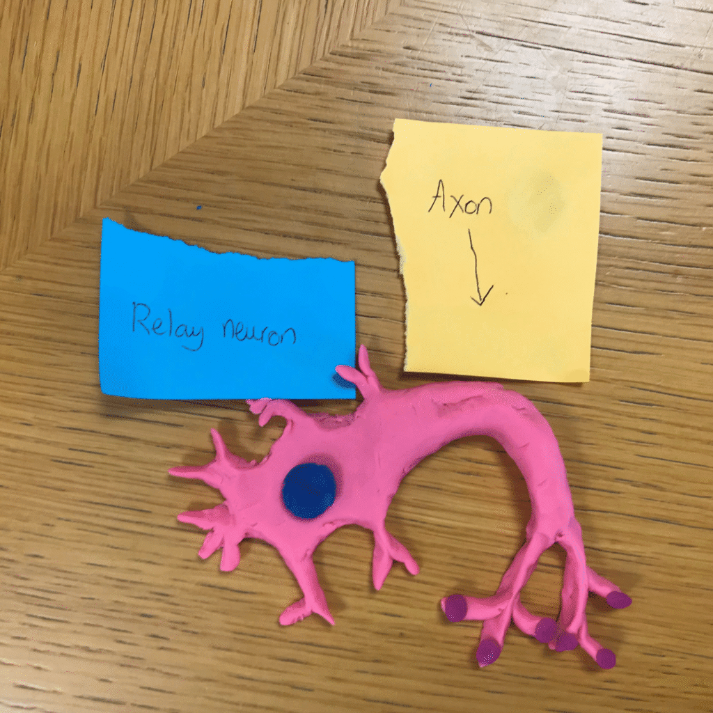 Psychology in Action 1 4
