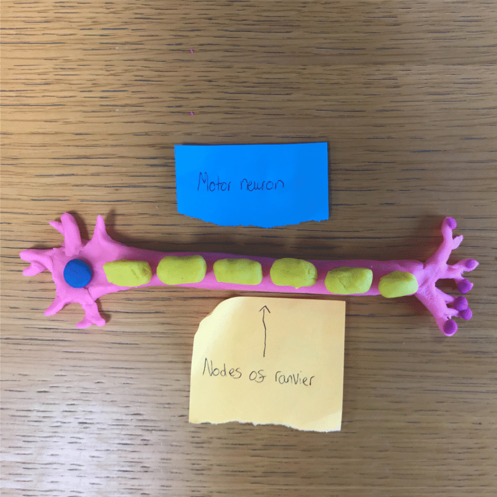 Psychology in Action 2 5