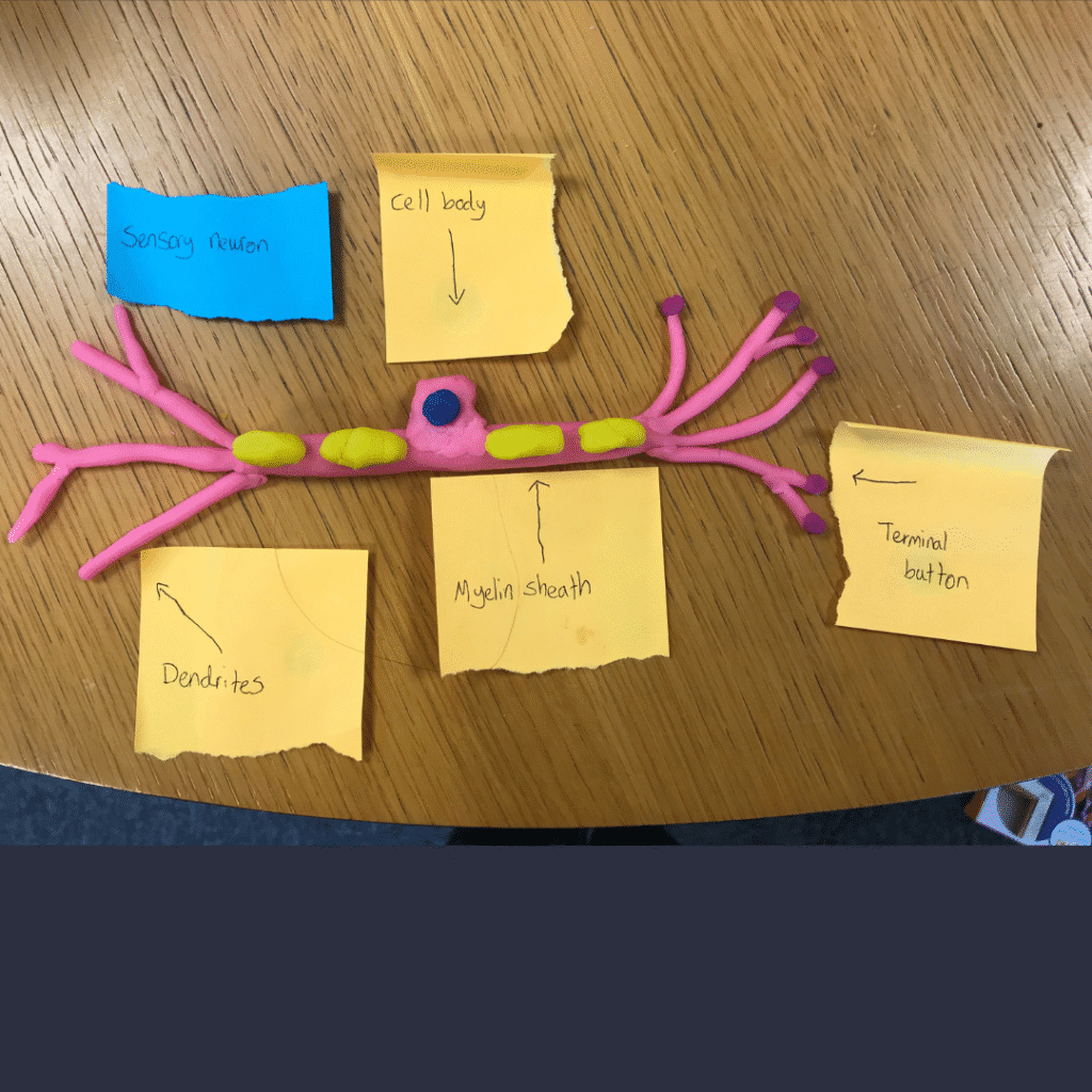 Psychology in Action 3 6