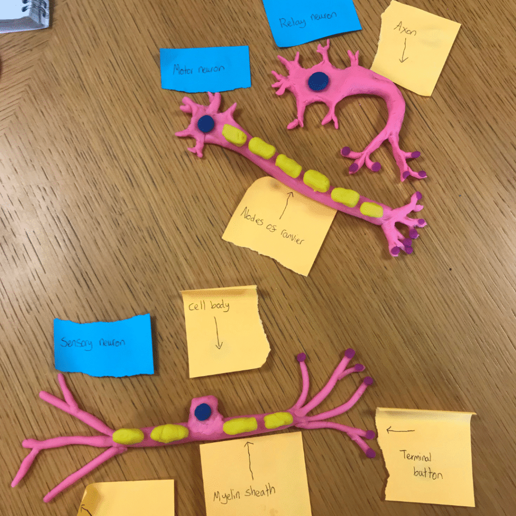 Psychology in Action 4 7